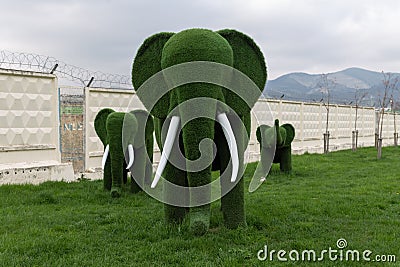 Topiary figures made of grass on the streets of the city. Editorial Stock Photo