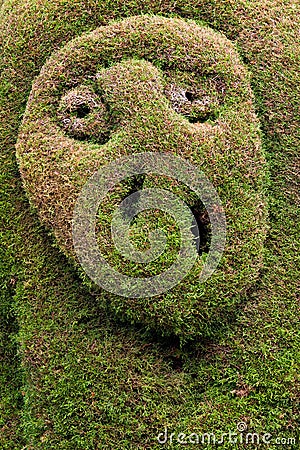 Topiary garden, Zarcero Stock Photo