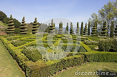 Topiary Landscaping in a Formal English Garden Stock Photo