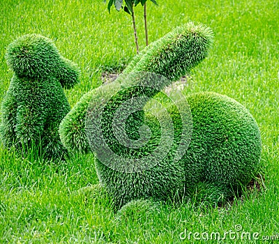 Topiary sculpture of a hare rabbit made of artificial grass Stock Photo