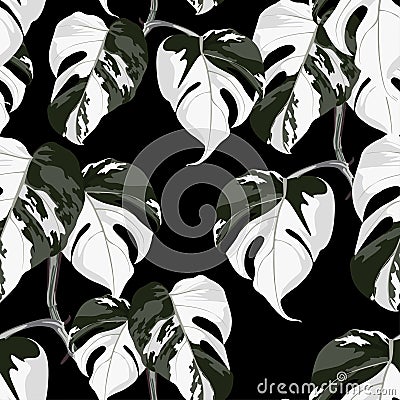 Topical palm leaves on black, seamless pattern. Beautiful allover print with hand drawn exotic plants. Stock Photo