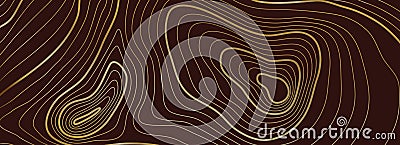 Topographic background. Sea texture, line contour map or heights path. Gold abstract topography cartography grid Vector Illustration