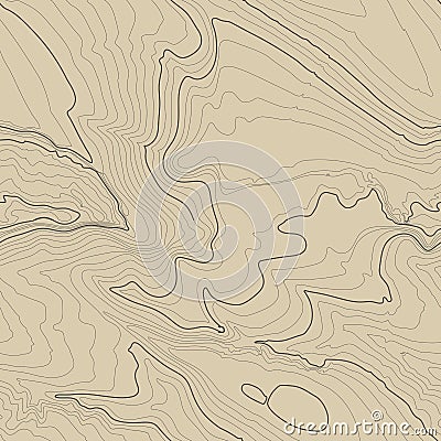 Topographic map background concept with space for your copy. Topography lines art contour , mountain hiking trail Vector Illustration