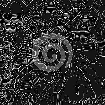 Topographic map background with space for copy . Line topography map contour background , geographic grid abstract Vector Illustration