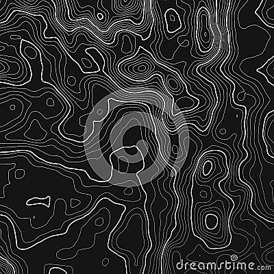 Topographic map background with space for copy . Line topography map contour background , geographic grid abstract Vector Illustration