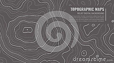 Topographic Map Contour Background. Vector Illustration