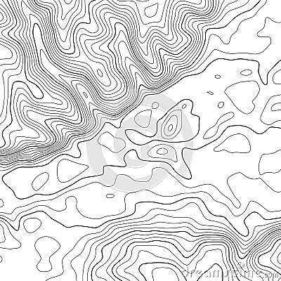 Topographic map lines background. Vector illustration. Contour map Cartoon Illustration