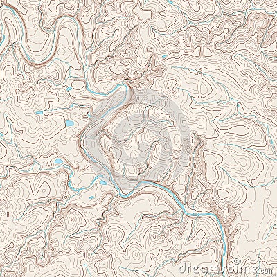 Topographic Map Vector Illustration