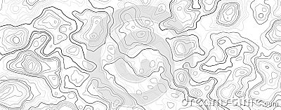 Topography contour map with grid. Vector relief map Vector Illustration