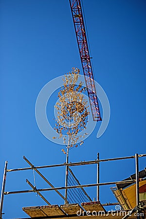 Topping out, German tradition in building construction Stock Photo