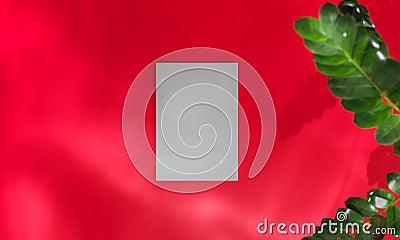 Topview with colorful background snd tree stand or podium on advertising display with blank backdrops. 3D rendering Stock Photo