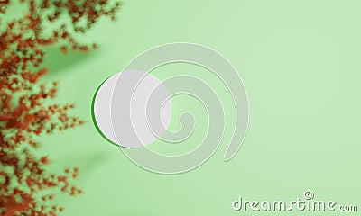 Topview with colorful background snd tree stand or podium on advertising display with blank backdrops. 3D rendering Stock Photo