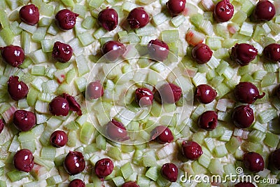 Topview of fruity rhubarb and red cherries on dough, homemade cake Stock Photo