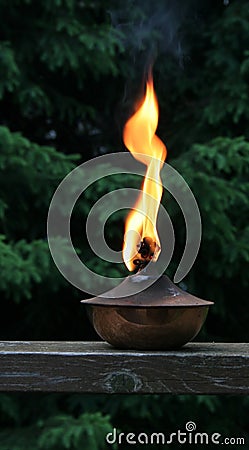 Torch Flame Stock Photo