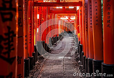 Torii at Fushimi Inari-taisha at Autumn sunset with sunlight filtering through the gates and some leaf litter on the sides Stock Photo