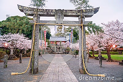 Torii gate with pink sakura light up at Matsukage Shrine, Kashima Stock Photo