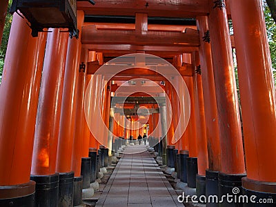 Torii gates of Fushimi Inari shrine, Kyoto, Japan Stock Photo