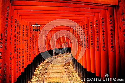 Torii Gates, Japan Stock Photo