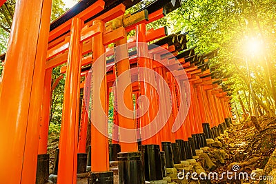 Torii gates Kyoto Editorial Stock Photo