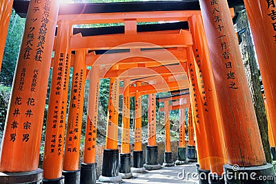 Torii path across the mountain Editorial Stock Photo