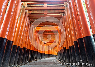 Torii path lined with thousands of torii in the Fushimi Inari Taisha Shrine in Kyoto. Editorial Stock Photo