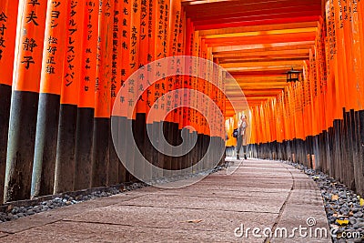 Torii path lined with thousands of torii in the Fushimi Inari Taisha Shrine in Kyoto Editorial Stock Photo
