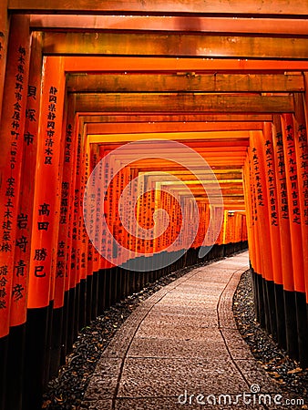 Torii tunnel of Fushimi Inari Stock Photo