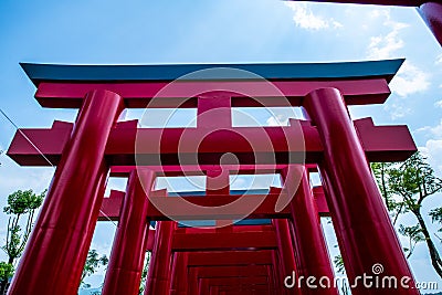 Torii tunnel in Hinoki land Stock Photo