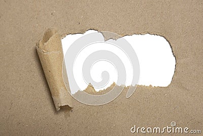 torn brown package rolled up curvl paper with blank white copyspace Stock Photo