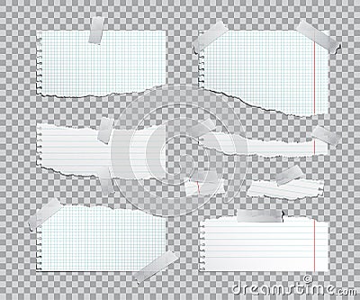 Torn copybook paper sheets with adhesive tape. Vector illustration. Vector Illustration