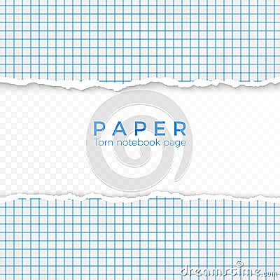 Torn Edge of Blue Squared Paper. Torn Piece of Squared Paper from Notebook. Blank Page Isolated on Transparent Background. Vector Vector Illustration