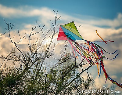 A torn kite tangled in tree branches with visible tearing and twists symbolizing unmet expectations Stock Photo