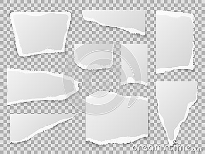 Torn paper. Different shapes of papers scraps, textured memo sheets. Grainy crumpled ripped edge strips, blank page Vector Illustration