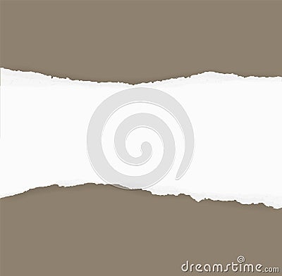 Torn paper edges for background. Ripped paper texture background. Vector Illustration