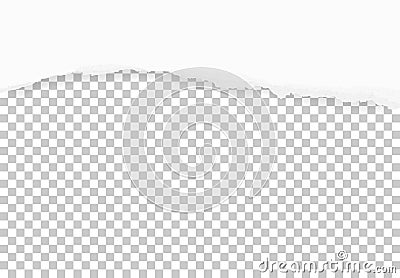 Torn paper edges for background. Ripped paper texture. Vector Illustration