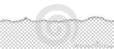 Torn paper. Ripped sheet edge on transparent background. Page with horizontal rough divider line. White tattered Vector Illustration