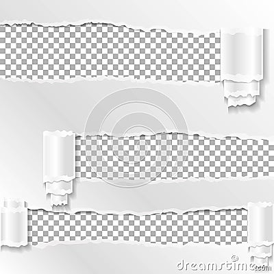 Torn paper vector collection. Paper roll with ripped edges, torn banner. Vector Illustration