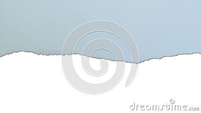 Torn pastel blue paper with rough edge. White copy space in lower half. Stock Photo