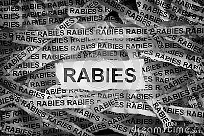 Torn pieces of paper with the word Rabies Stock Photo