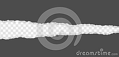 Torn, realistic, ripped strip of grey paper with a light shadow on a transparent background. Torn cardboard. Vector Illustration