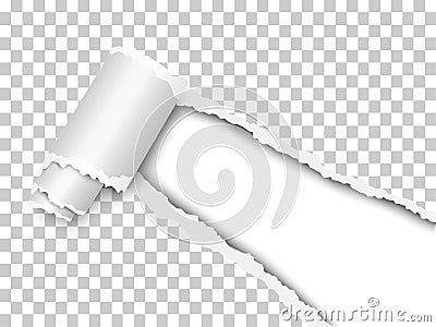 Torn, snatched window placed diagonally in sheet of checkered transparent paper with paper curl. White background of the resulting Vector Illustration