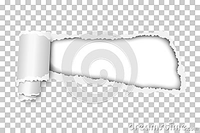 Torn, snatched window in sheet of checkered transparent paper with paper curl. White background of the resulting hole. Template Vector Illustration