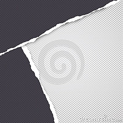 Torn squared black paper in corners are on background with space for text. Vector illustration Vector Illustration