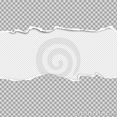 Torn squared grey horizontal paper strips are on lined background with space for text. Vector illustration Vector Illustration