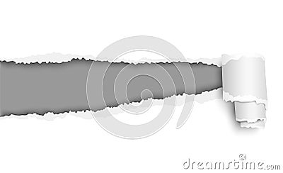 Torn white sheet of paper with soft shadow, curl and gray background in the resulting hole. Vector template paper design Vector Illustration