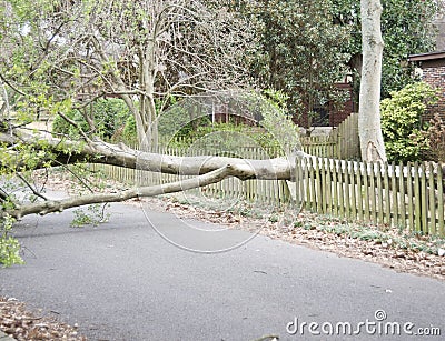 Tornando Damaged Home and Property Stock Photo