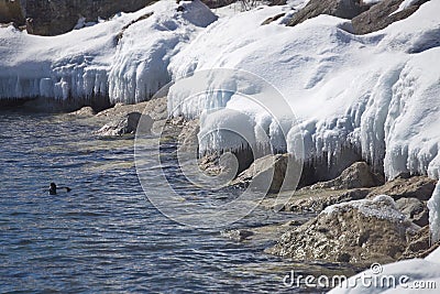 Toronto lake frozen shoreline Stock Photo