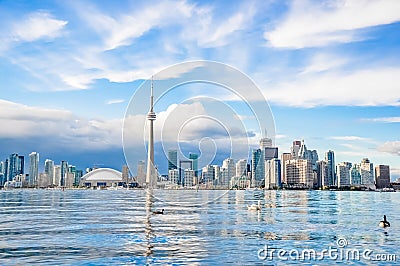 Toronto Skyline Stock Photo