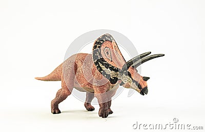 Torosaurus , dinosaur on white background Stock Photo