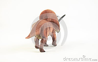 Torosaurus , dinosaur on white background Stock Photo